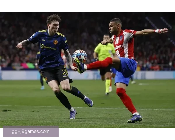 热刺主力后卫乌多吉腿筋伤缺阵欧冠生死战对马竞